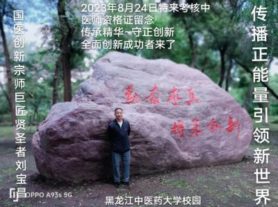 大国医者国医名师 中国当代医学创新之父——刘宝昌