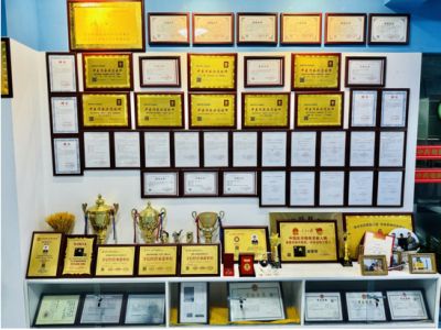 温度学派中医治肿瘤六大系统法之五： 绝学中医导引《平针导引气血入药治疗法》