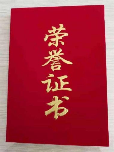 国医百科官网特别报道 党旗下的国医名师——吴训明