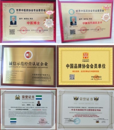 杨宗仙：中医传承创新领航者，济世为民谱写传奇篇章