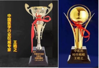 中国好医生——王皓之