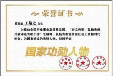 中国好医生——王皓之