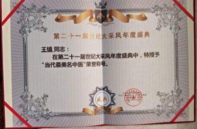 承千年文化 扬中医德馨 访大国医者---王镇