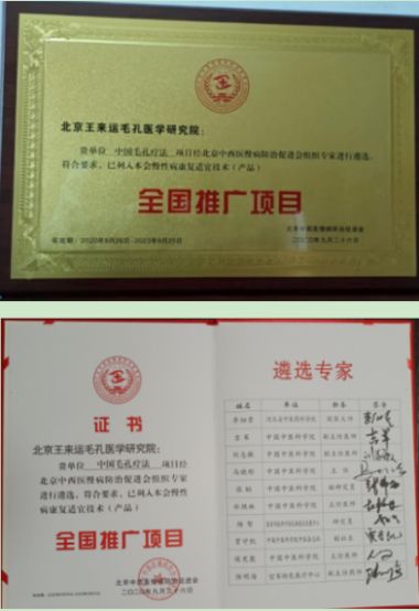 国医百科官网特别报道 国医名师 毛孔疗法研发人——胡玉兰