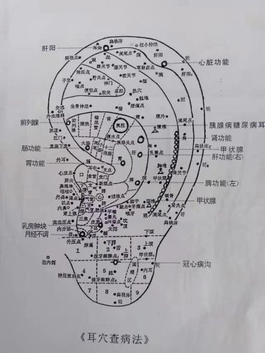 国医百科官方网站特别报道蒋氏点穴按摩快速疗法创始人---蒋可定