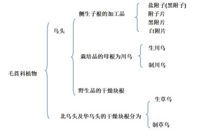 新时代国医大师—计怀安