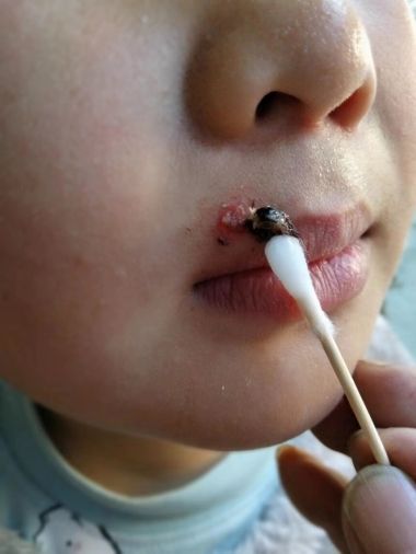 恭贺陈国林荣获“国医泰斗”荣誉称号