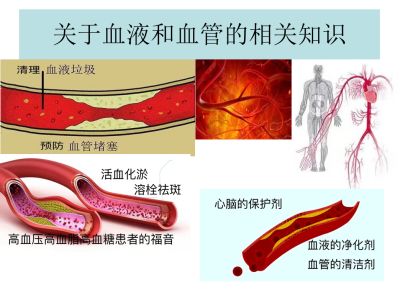 中国行业先进人物 ——中医专家、山西平义堂中医药贸易有限公司董事长陈建平