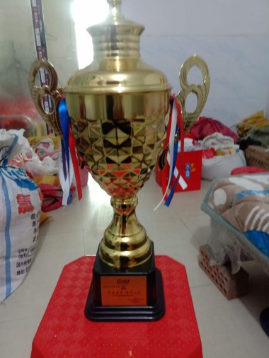 访大国医学领军人才、中国抗癌协会研究员---陈汉谟