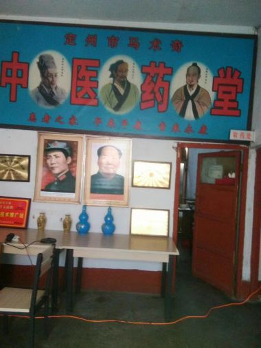 党旗下的国医名师  大健康时代楷模 ——马术奇