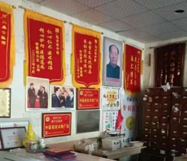 党旗下的国医名师  大健康时代楷模 ——马术奇