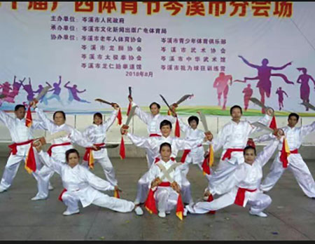 疑难病诊疗专家黎雪凤