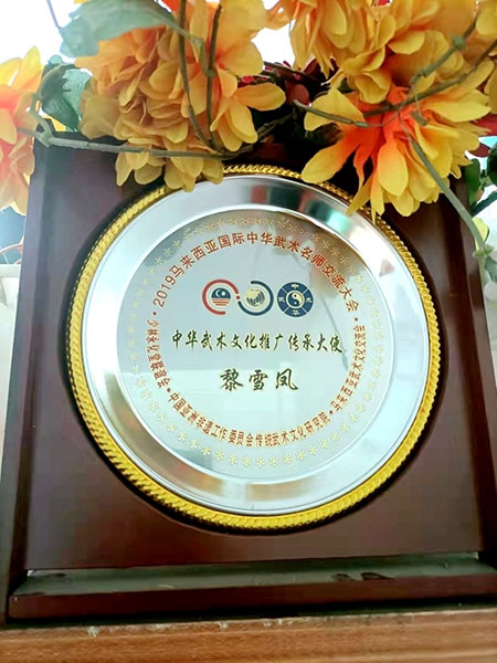 疑难病诊疗专家黎雪凤